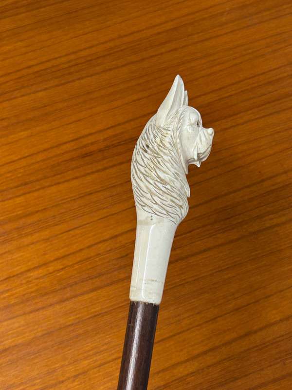 Antique Cane Or Walking Stick Carved Ivory Dog Head Late 19th Century