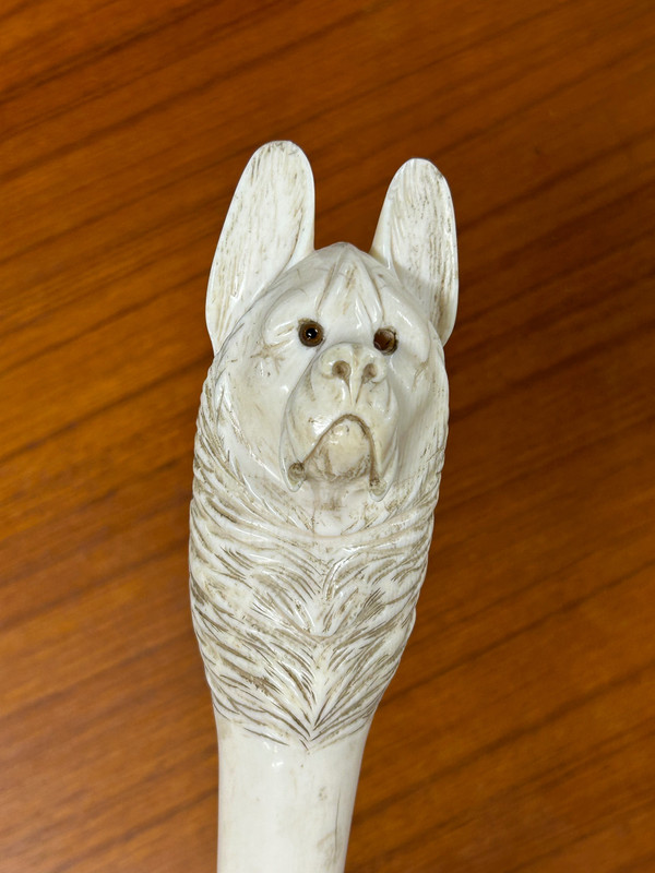 Antique Cane Or Walking Stick Carved Ivory Dog Head Late 19th Century