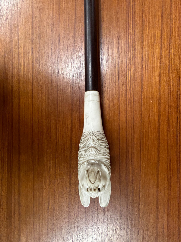 Antique Cane Or Walking Stick Carved Ivory Dog Head Late 19th Century