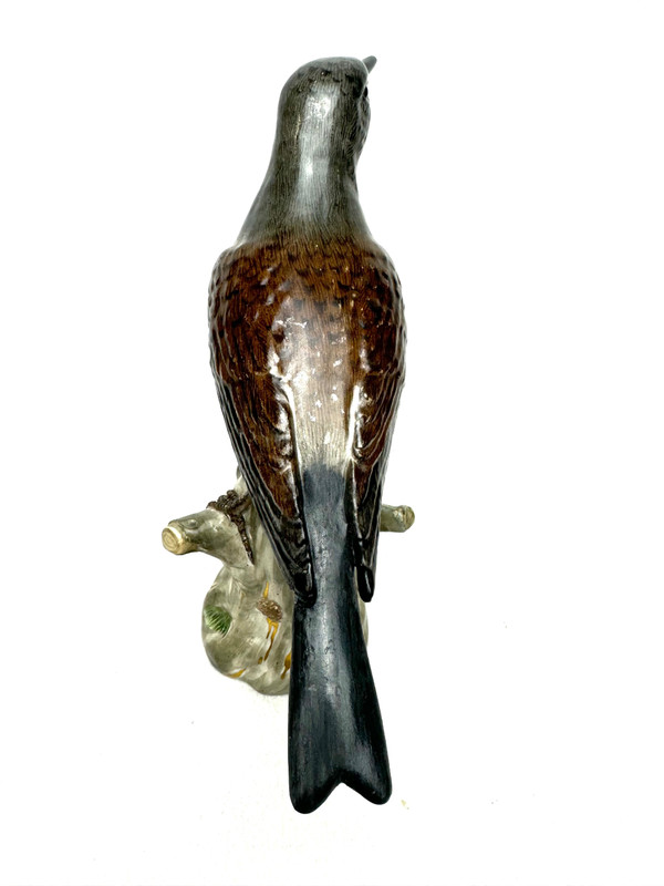 Meissen - Figura in porcellana di un Turdidae