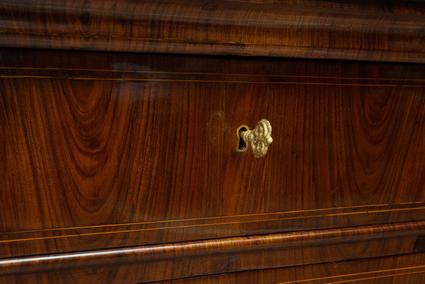 Antique Chest of Three Drawers in Walnut from the 19th Century Lucca (Italy)