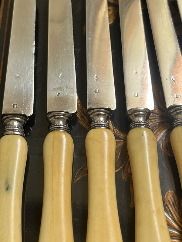 6 late 19th century fruit knives with silver blades