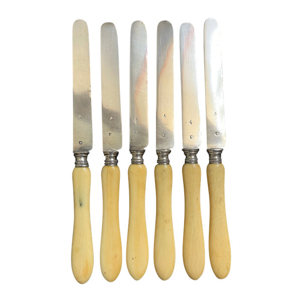 6 late 19th century fruit knives with silver blades