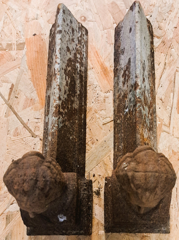 Pair of 19th century female bust fireplace andirons