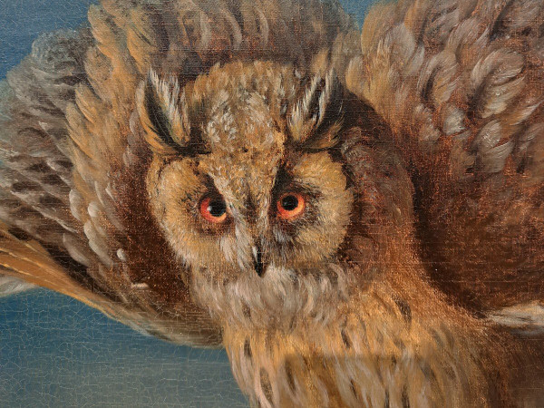 Suiveur De Jean Jacques Bachelier (1724-1806), Le Hibou Et Sa Proie, Huile