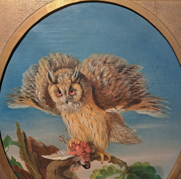 Suiveur De Jean Jacques Bachelier (1724-1806), Le Hibou Et Sa Proie, Huile