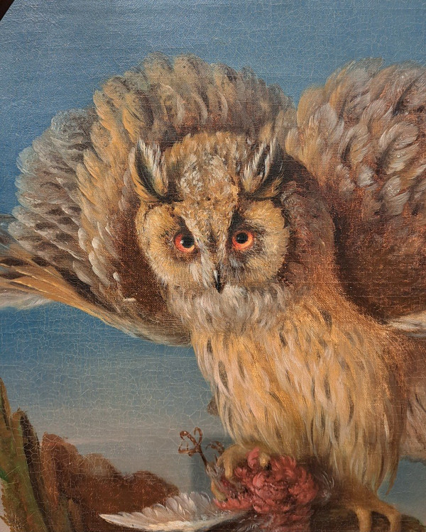 Suiveur De Jean Jacques Bachelier (1724-1806), Le Hibou Et Sa Proie, Huile