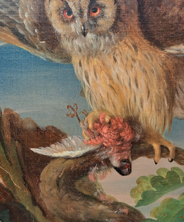 Suiveur De Jean Jacques Bachelier (1724-1806), Le Hibou Et Sa Proie, Huile