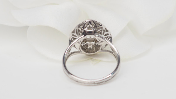 Surrounding ring in white gold and diamonds