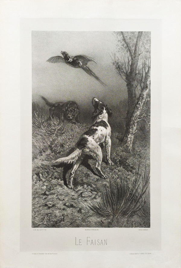 Hunting Dogs And Pheasant 19th Century Lithograph Old Print