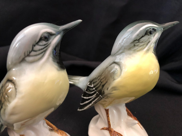 Couple d'oiseaux en porcelaine de Saxe par Karl Ens fin XIX siècle 