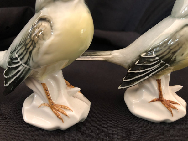 Couple d'oiseaux en porcelaine de Saxe par Karl Ens fin XIX siècle 