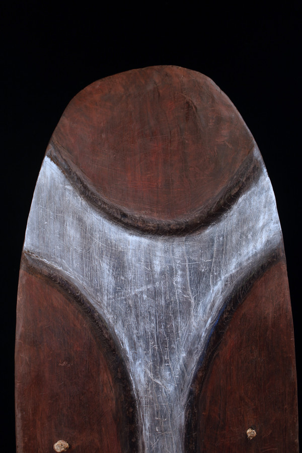 Shield, Oceanic art, sculpture, tribal art, first arts, Oceania, Papua New Guinea