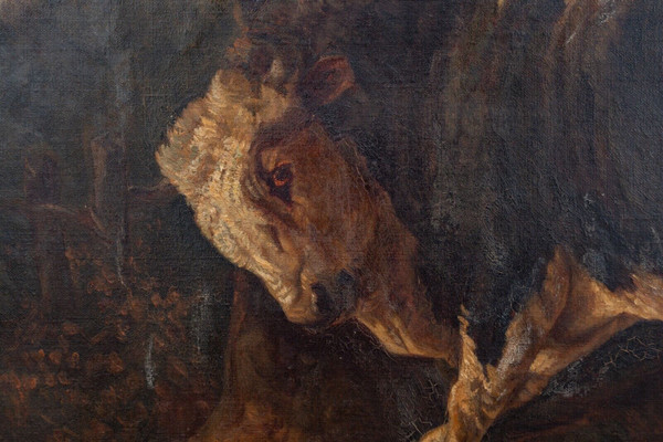 Oil on canvas Bull rubbing against a tree after Brascassat