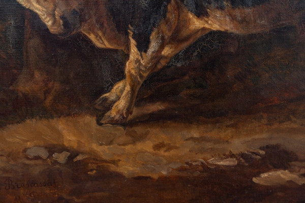 Oil on canvas Bull rubbing against a tree after Brascassat