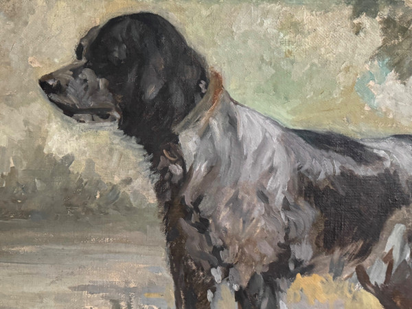 Pittura di cane, ritratto di cane