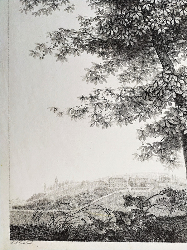 Landscape Study The Tree Empire Period Etching 19th C Old Print