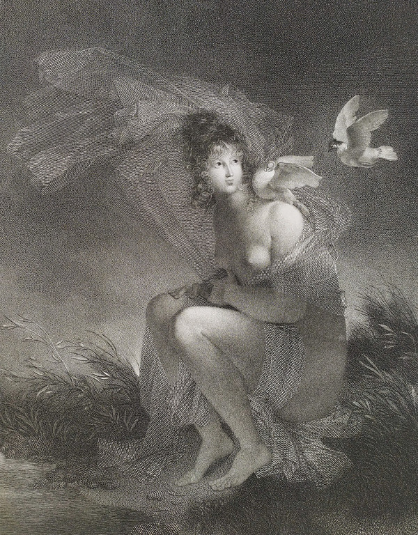 Etching Neoclassical Engraving Portrait Of A Lady Female Nude After Fragonard 19th C  Old Print