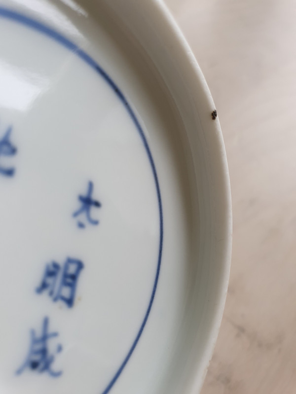 Paar Porzellanschalen im Kakiemon-Stil mit Blütenranken verziert