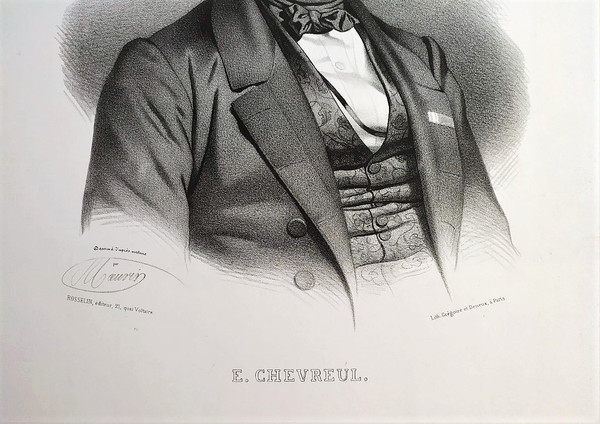 Michel Eugene Chevreul Lithograph By Grégoire And Deneux 19th Century Old Print