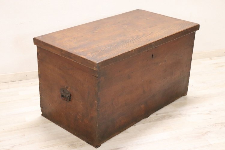 Rustic Trunk in Fir Wood, Late 19th Century