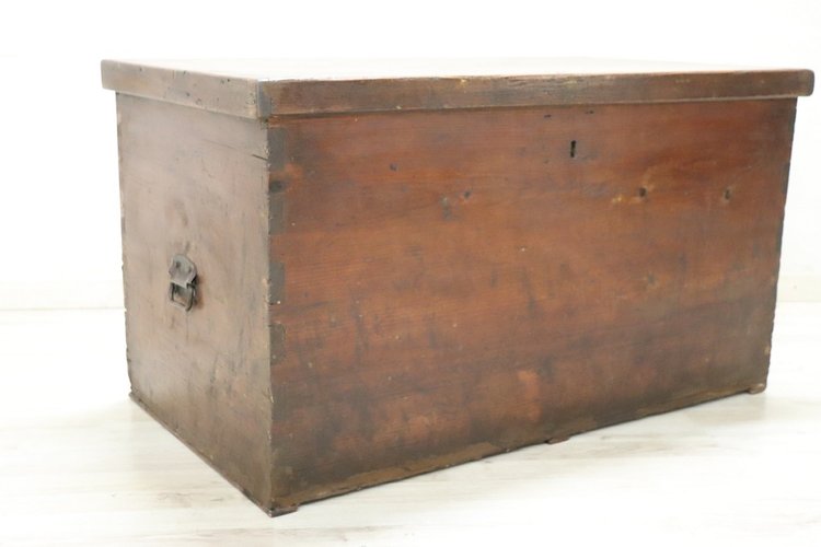 Rustic Trunk in Fir Wood, Late 19th Century