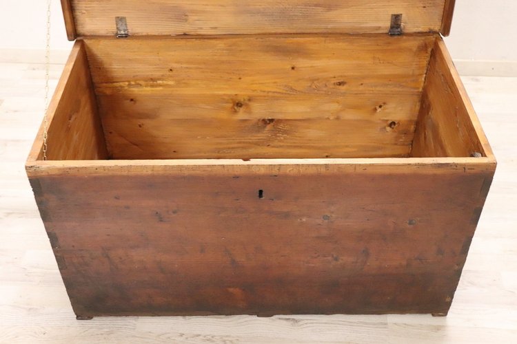 Rustic Trunk in Fir Wood, Late 19th Century