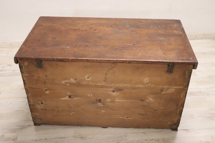 Rustic Trunk in Fir Wood, Late 19th Century