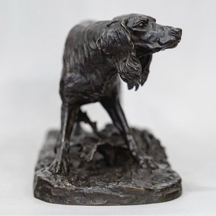 Scultura - Cane da caccia Setter , Pierre- Jules Mêne (1810-1879) - Bronzo