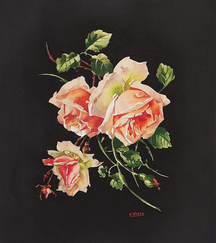 Roses Gouache Signed G.virte 20th C 