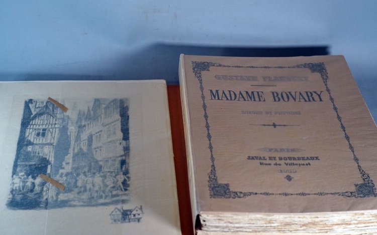 Gustave Flaubert, MADAME BOVARY, Moeurs de Province. Boxed set