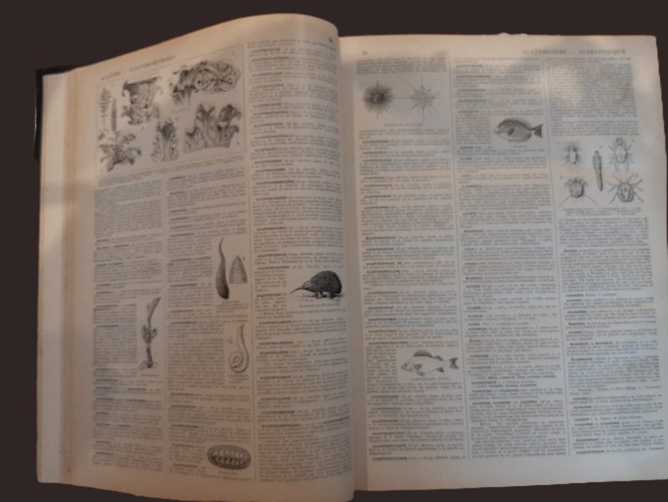 Nouveau Larousse illustré & Atlas - Universal encyclopedic dictionary - 1898 to 1907