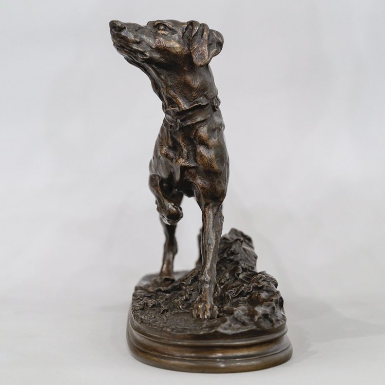 Skulptur - Brackenhund Marly , Stein - Jules Mêne (1810-1879) - Bronze