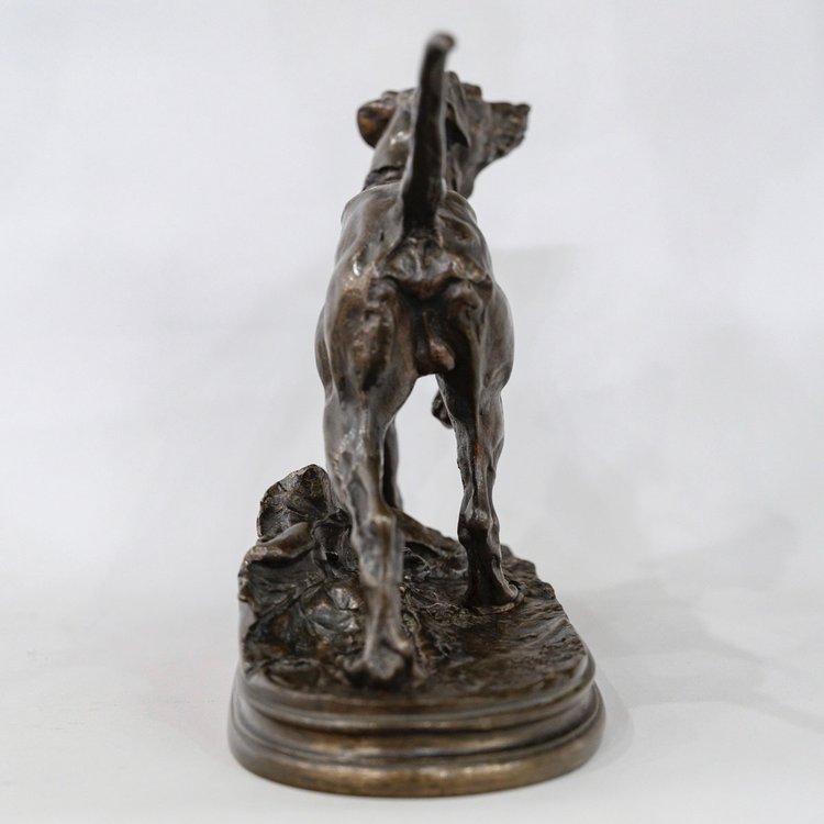 Skulptur - Brackenhund Marly , Stein - Jules Mêne (1810-1879) - Bronze