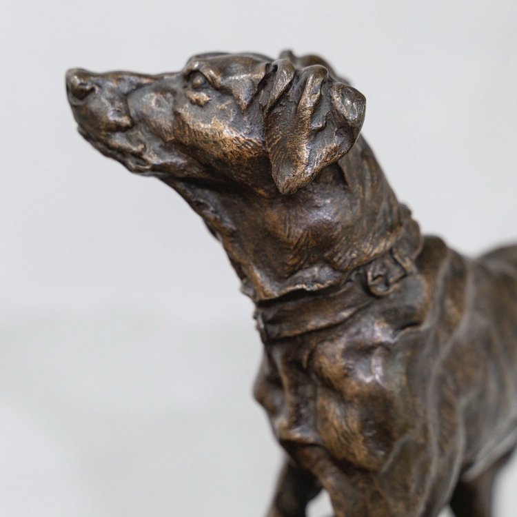 Skulptur - Brackenhund Marly , Stein - Jules Mêne (1810-1879) - Bronze