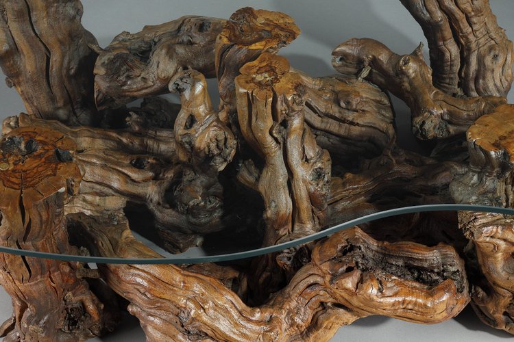 COFFEE TABLE MADE OF TREE ROOTS WITH BEAN-SHAPED GLASS TOP