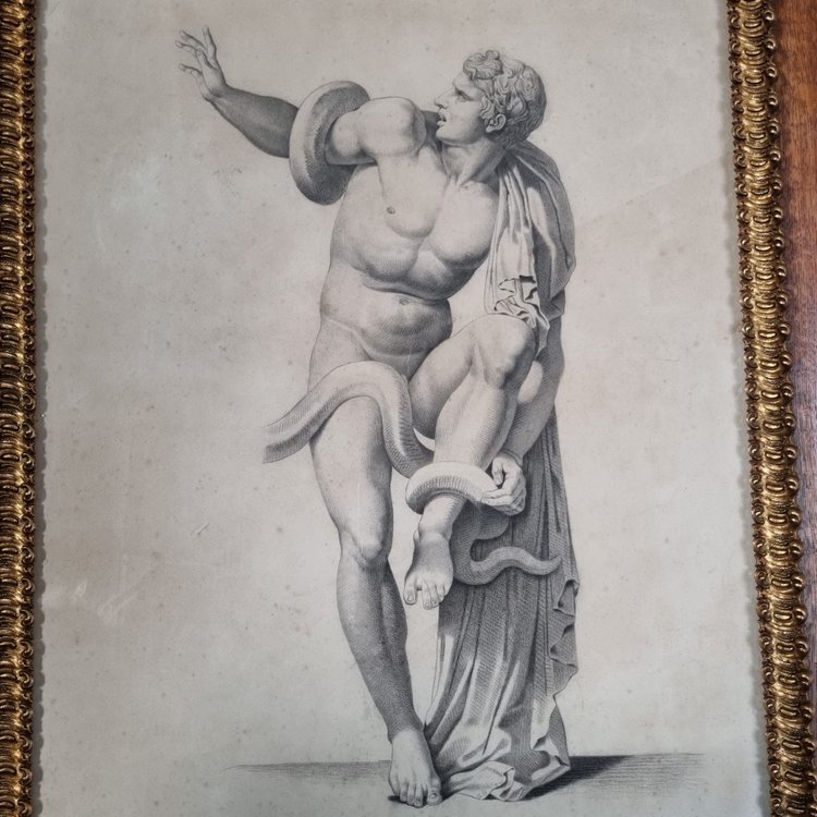 Laocoon, Large graphite drawing, 19th century.