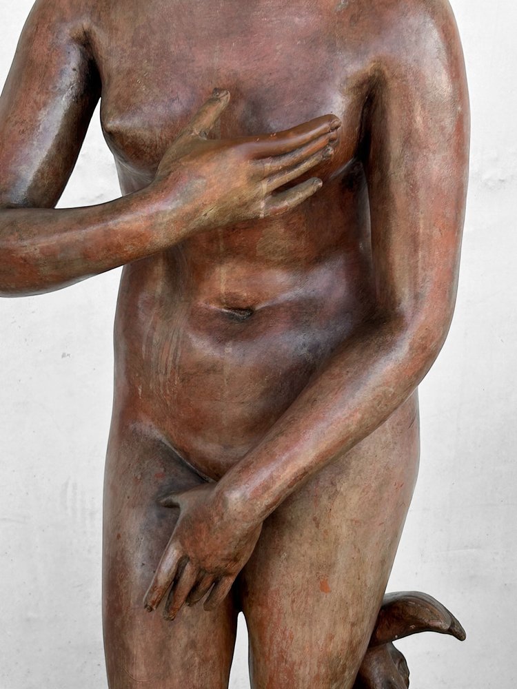 Sehr bedeutende Terrakotta-Venus von Medici aus dem antiken 19. Jahrhundert, Höhe 153 cm