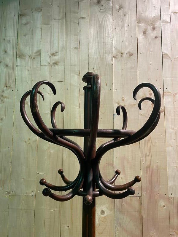 Coat rack / Parrot signed THONET