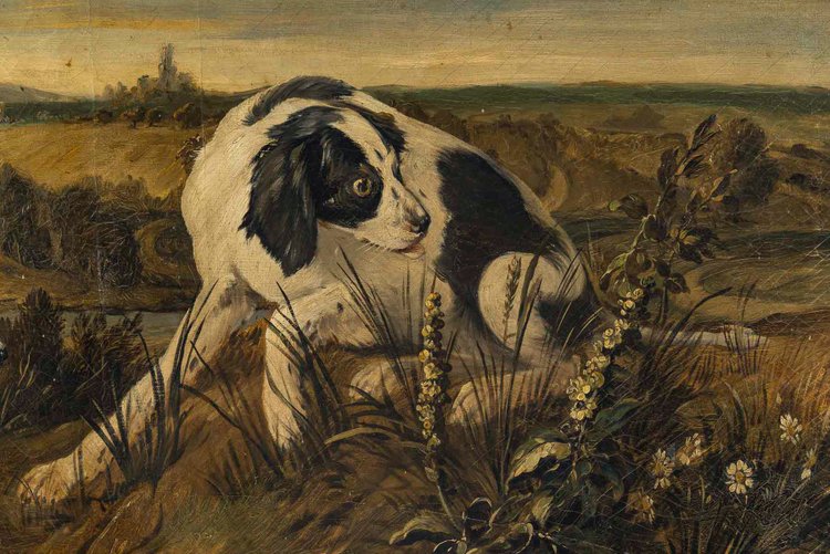 Jagdhunde, die den Halt markieren wichtiges Öl auf Leinwand im Stil von Desportes um 1850