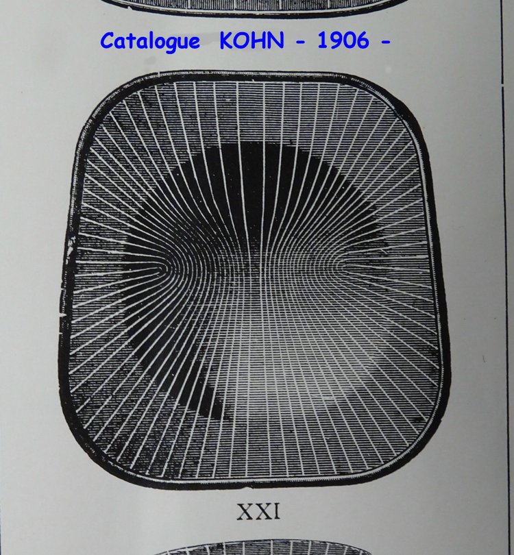 Deux chaises Bistro KOHN n°48 a de 1905 Sécession, no Thonet