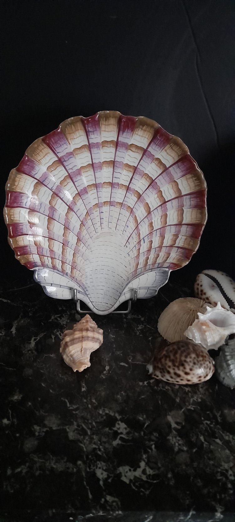 Pair of scallop shell dishes 18th century