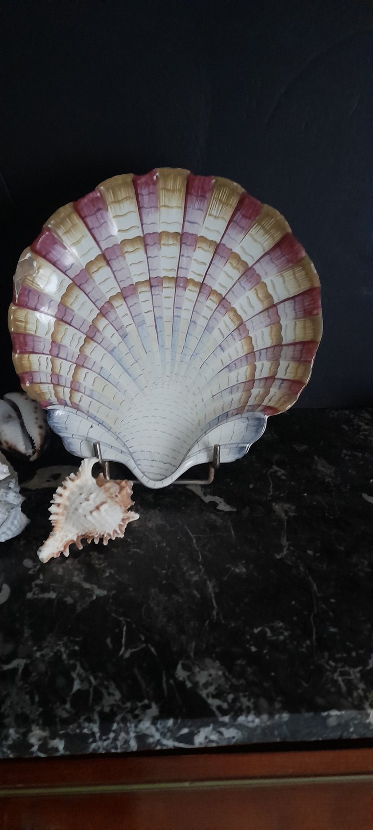 Pair of scallop shell dishes 18th century