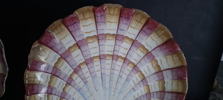 Pair of scallop shell dishes 18th century