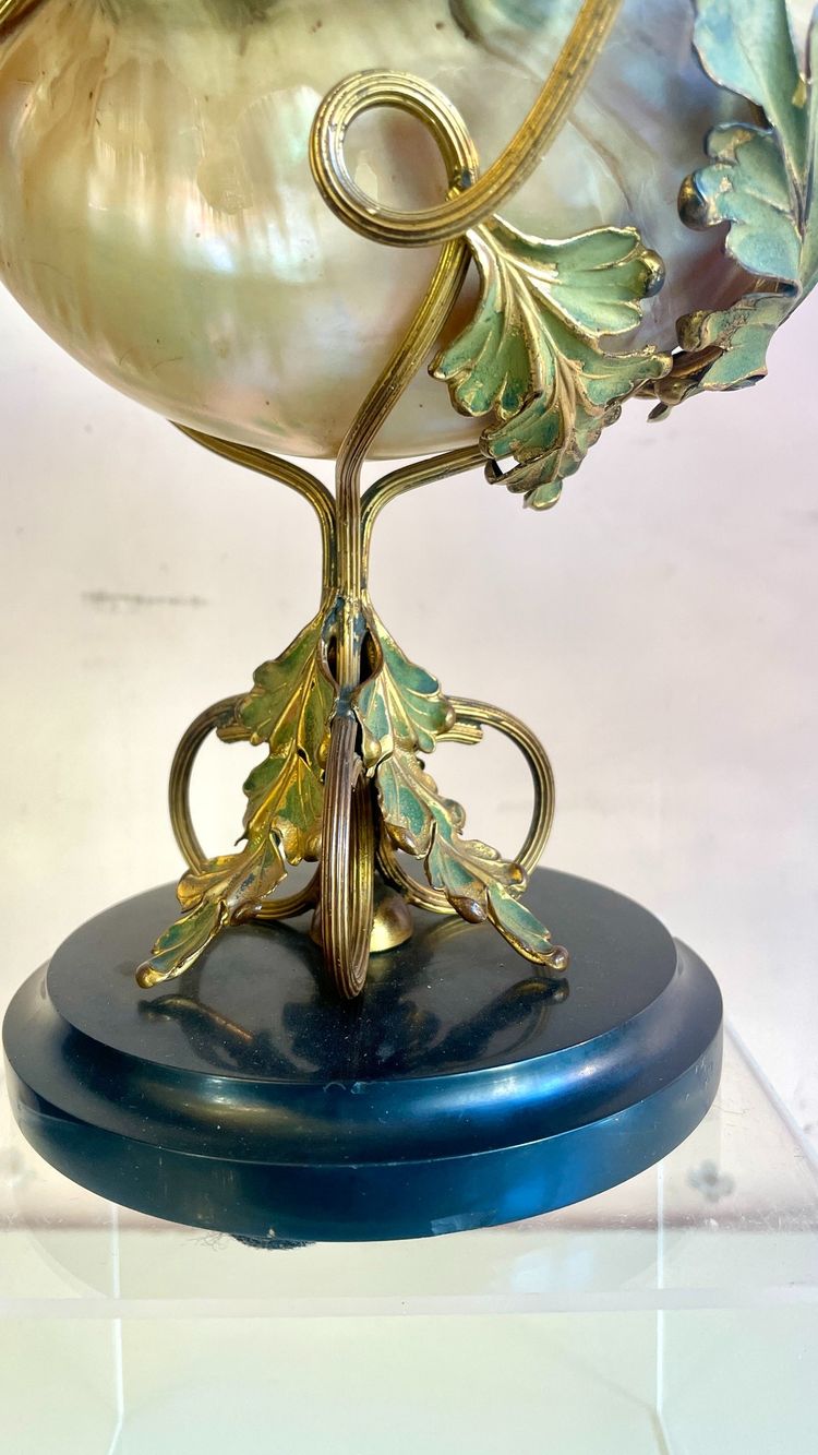 Art Nouveau Mounted Shell, 19th Century