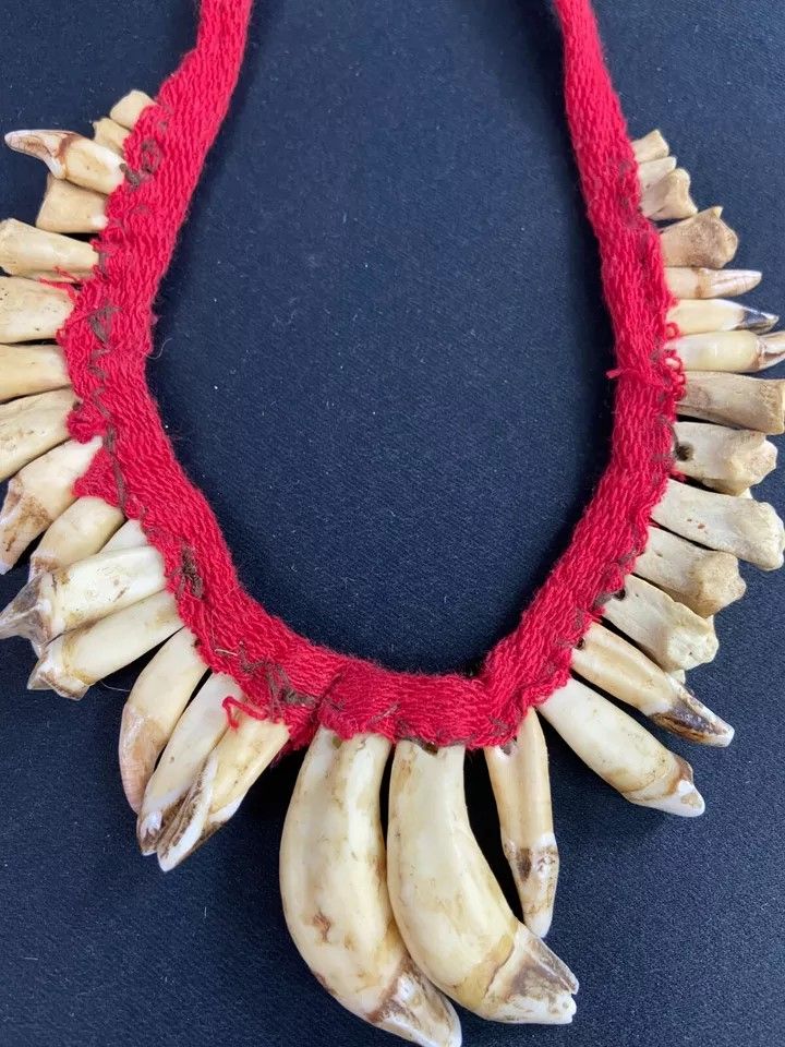 Brustschmuck mit Zahndekor Halskette Asmat Sepik Papua Neuguinea