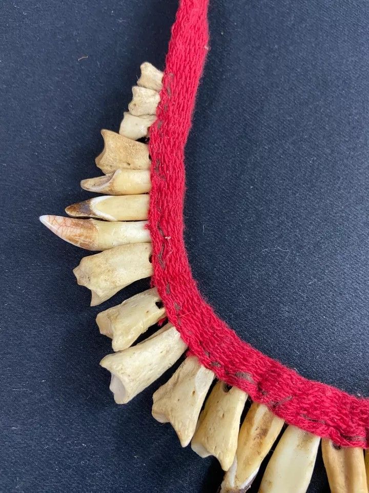 Brustschmuck mit Zahndekor Halskette Asmat Sepik Papua Neuguinea