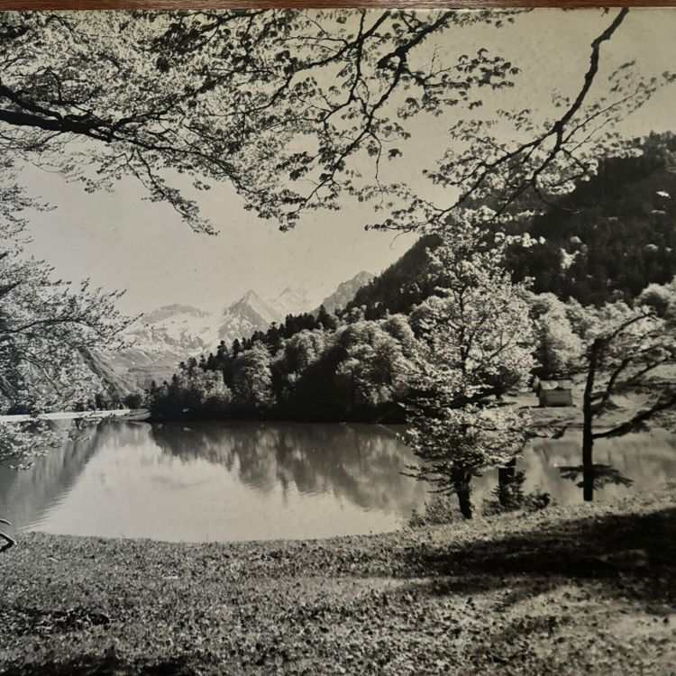 Photo on a wooden panel mountain landscape