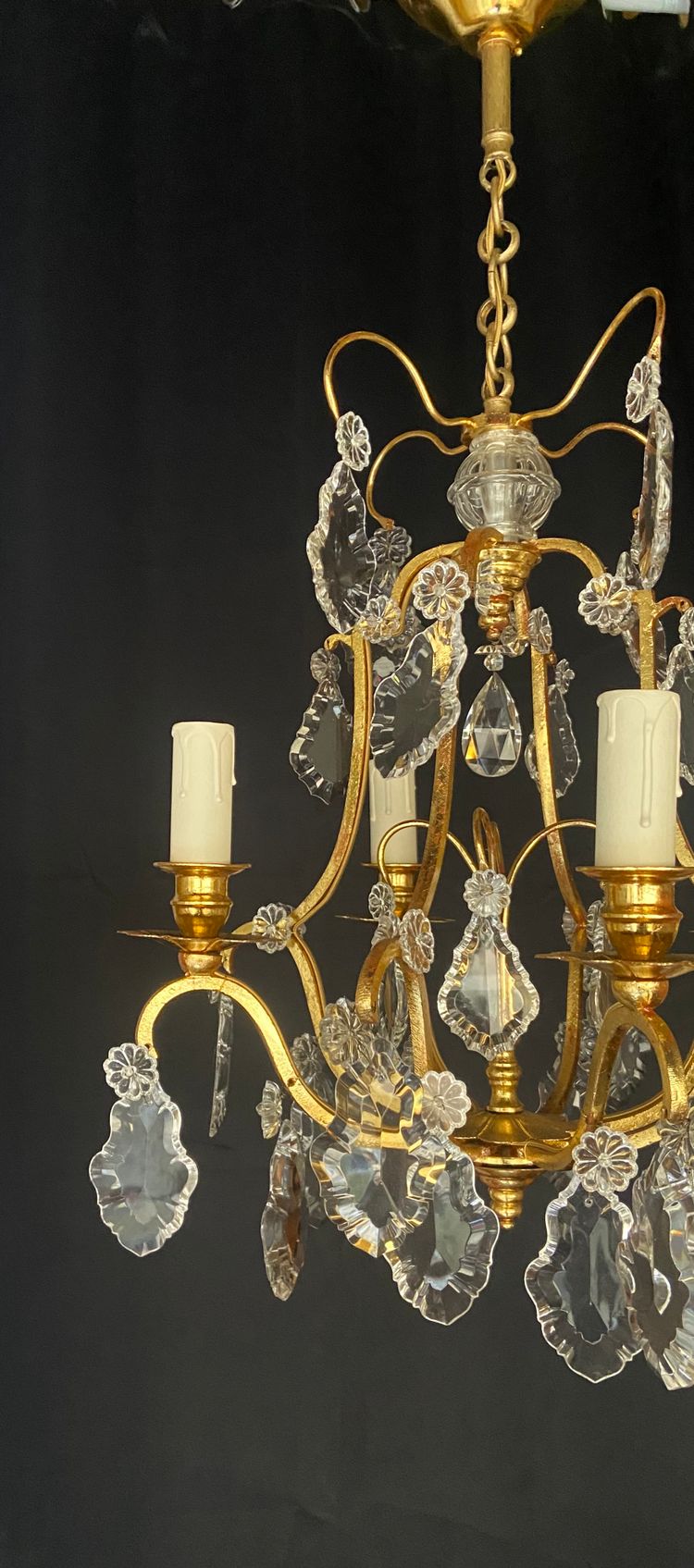 Gilded leaf chandelier