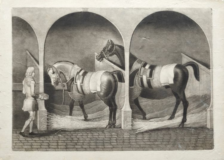  Engraving  Horses After James Seymour 18th C Etching Old Print